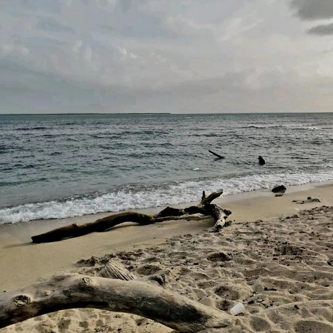 Palamares3 Of Caleta1 La Romana 0*,  Dominican Republic
